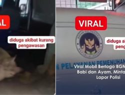 Viral Mobil BGN Angkut Ayam & Babi, Ini Klarifikasi Resmi: Bukan Kendaraan Resmi!
