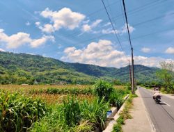 Dusun Jombor Bantul: Lokasi Syuting Film Abadi Nan Jaya di Netflix yang Viral