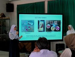 Papan Interaktif IFP Kemendikbud: Solusi Pembelajaran Digital di Sekolah