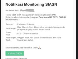 Status BTS PPPK Paruh Waktu 2025: Penyebab dan Cara Mengatasinya