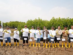 Kolaborasi PLN Icon Plus & Jejakin: Tanam 2.500 Mangrove untuk Net Zero Emission