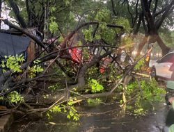 Hujan Es Gading Serpong Terjadi, BMKG Imbau Waspada Cuaca Ekstrem di Tangerang