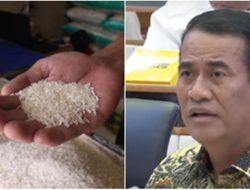 Klaim Swasembada Beras vs Data BPS 2024: Impor Tembus 4,52 Juta Ton, Ini Faktanya