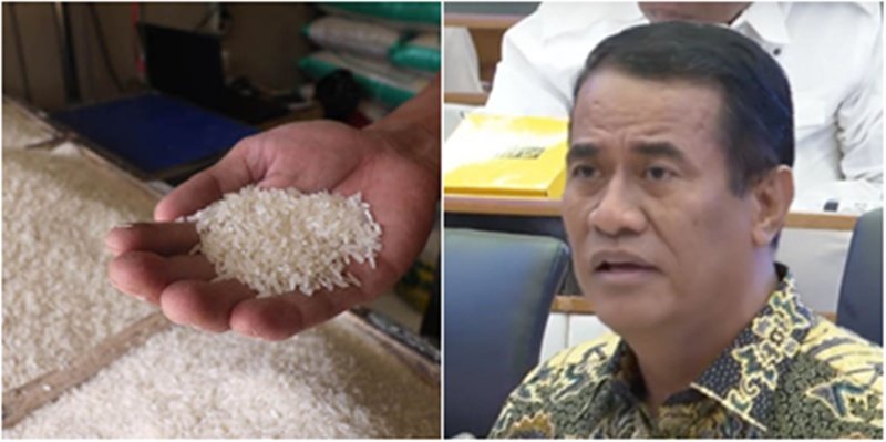 Klaim Swasembada Beras vs Data BPS 2024: Impor Tembus 4,52 Juta Ton, Ini Faktanya
