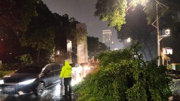 Pohon Tumbang di Depan GBK Arena Pagi Ini, Lalu Lintas Macet Parah!