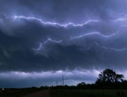 Banjir & Pohon Tumbang di Jakarta: BPBD Imbau Warga Siaga Hujan Lebat Hari Ini