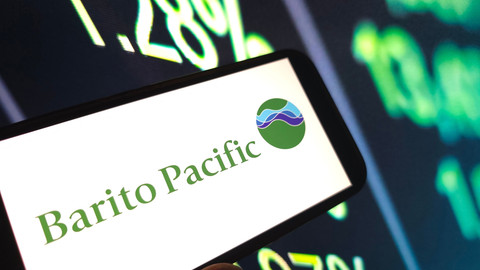 Laba BRPT Melonjak 2.882% Jadi Rp 30,3 Triliun di 2025, Ini Penyebabnya