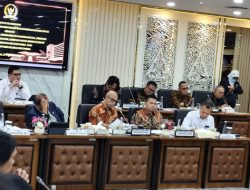 Solusi Polemik Royalti Musik: Menteri Hukum Minta LMKN Unggah Laporan Keuangan Bulanan