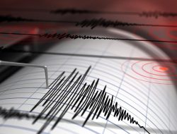 Gempa M5,2 Guncang Maluku Pagi Ini: Getaran Terasa hingga ke Mana?