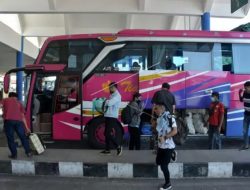 Jadwal & Harga Tiket Bus Bali ke Jawa 2024: Terminal Mengwi (Terlengkap!)