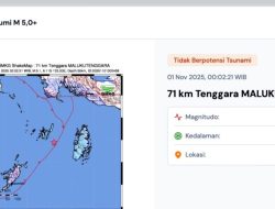 Gempa M 5.1 Guncang Maluku Tenggara, BMKG Konfirmasi Tak Berpotensi Tsunami