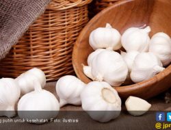 7 Manfaat Bawang Putih untuk Wajah dan Cara Penggunaannya yang Ampuh
