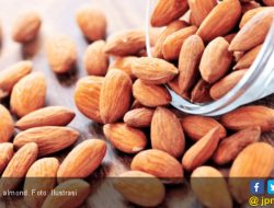 3 Makanan Penurun Kolesterol Tinggi yang Ampuh dan Alami (Terbukti!)