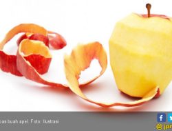 5 Makanan Pengganti Nasi untuk Diet yang Sehat dan Mengenyangkan