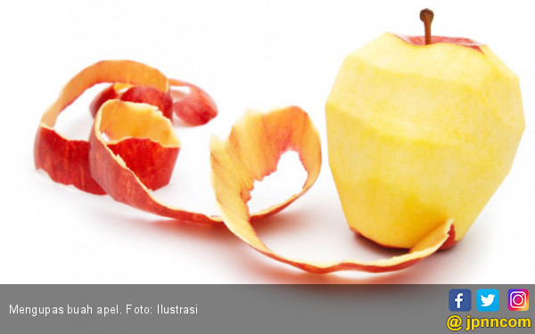 5 Makanan Pengganti Nasi untuk Diet yang Sehat dan Mengenyangkan