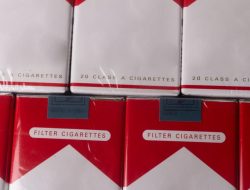 Saham Rokok Melejit: GGRM, HMSP, dan Emiten Tembakau Cetak Kenaikan Hingga 41%