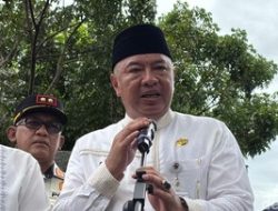 Pemangkasan 62.161 Pohon di Jakarta: Upaya Cegah Tumbang & Klaim Santunan Rp 50 Juta