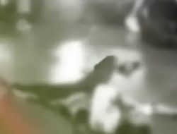 Tawuran di Sawangan Depok 2025: Kronologi Lengkap, 2 Pelajar Terluka Bacok