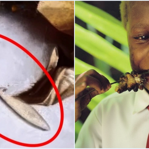 Ulat di Menu MBG SMAN 1 Kamal: Fakta Protein & Bahayanya Menurut Peneliti