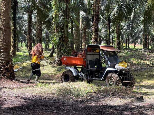 Transformasi Digital Astra Agro (AALI) Genjot Produktivitas & Keberlanjutan Sawit