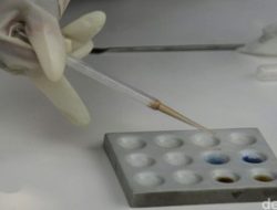 Onadio Leonardo & Temannya KR Positif Narkoba, Hasil Tes Urine Polisi Membuktikan