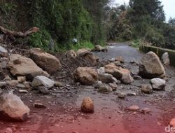 Tanah Longsor di Kenya Tewaskan 21 Orang, 30 Masih Hilang: Korban dan Penyebab