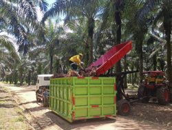 Inovasi Berkelanjutan PT Astra Agro Lestari: Revolusi Digital & Strategi 2+1 di Perkebunan Sawit