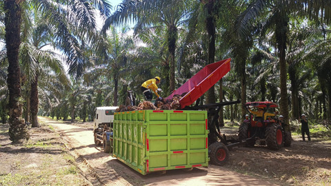 Inovasi Berkelanjutan PT Astra Agro Lestari: Revolusi Digital & Strategi 2+1 di Perkebunan Sawit