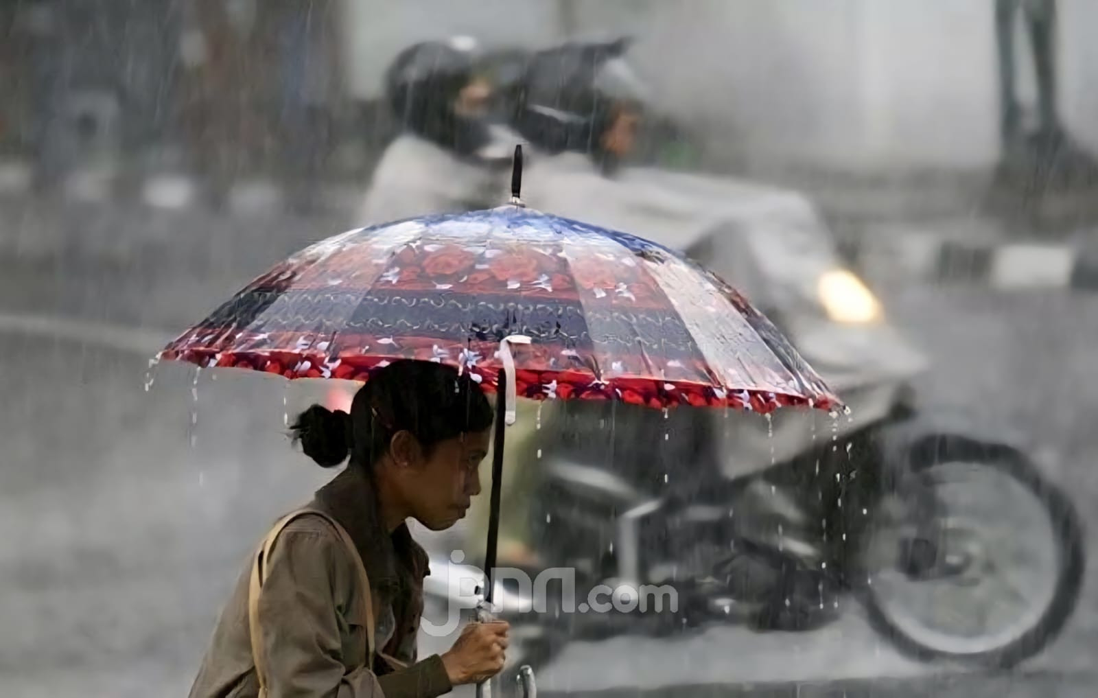 BMKG Peringatkan Hujan Lebat Awal November 2025, Waspada Banjir & Longsor