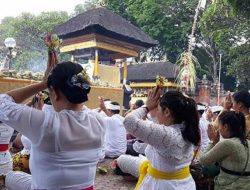 Jadwal & Lokasi Piodalan di Bali Hari Ini: Makna dan Tata Caranya