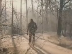 Restorasi Jiwa dan Nalar Bangsa: Kunci Indonesia Maju yang Berkelanjutan