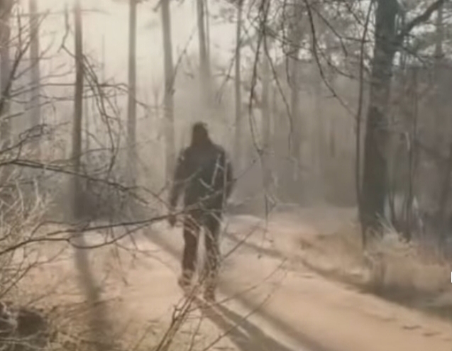 Restorasi Jiwa dan Nalar Bangsa: Kunci Indonesia Maju yang Berkelanjutan