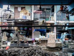 Kondisi Memprihatinkan: Aliran Sungai Krukut di Tanah Abang Tersumbat Sampah dan Lumpur