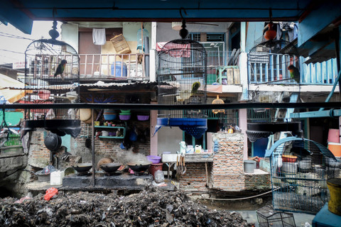 Kondisi Memprihatinkan: Aliran Sungai Krukut di Tanah Abang Tersumbat Sampah dan Lumpur