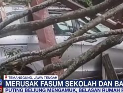 Angin Kencang Terjang Magelang & Temanggung, 136 Rumah Rusak