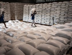 Bapanas Tetapkan Perputaran Stok Beras Maksimal 6 Bulan, Ini Tujuannya