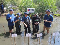 CGS International Perkuat Komitmen Lingkungan: Tanam 11.100 Mangrove di 8 Provinsi
