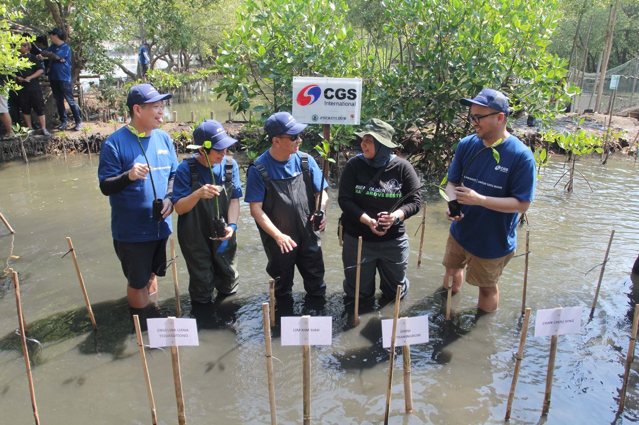 CGS International Perkuat Komitmen Lingkungan: Tanam 11.100 Mangrove di 8 Provinsi