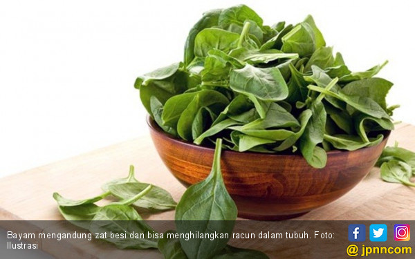 7 Manfaat Bayam untuk Kesehatan: Turunkan Berat Badan & Cegah Osteoporosis