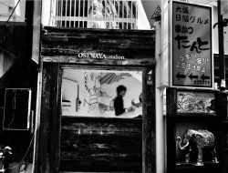 Mengapa Kejujuran adalah Fondasi Utama Bangsa Indonesia yang Bermartabat?