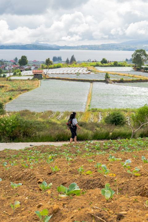 Transendentalisme Modern: Jawaban atas Kekosongan Hidup di Era Digital