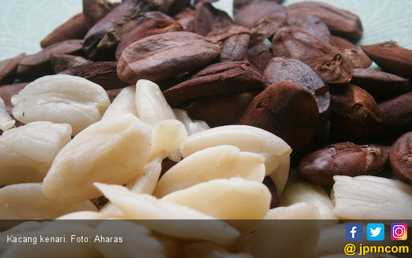 3 Manfaat Kacang Kenari Rendam: Untuk Otak, Diabetes & Usus