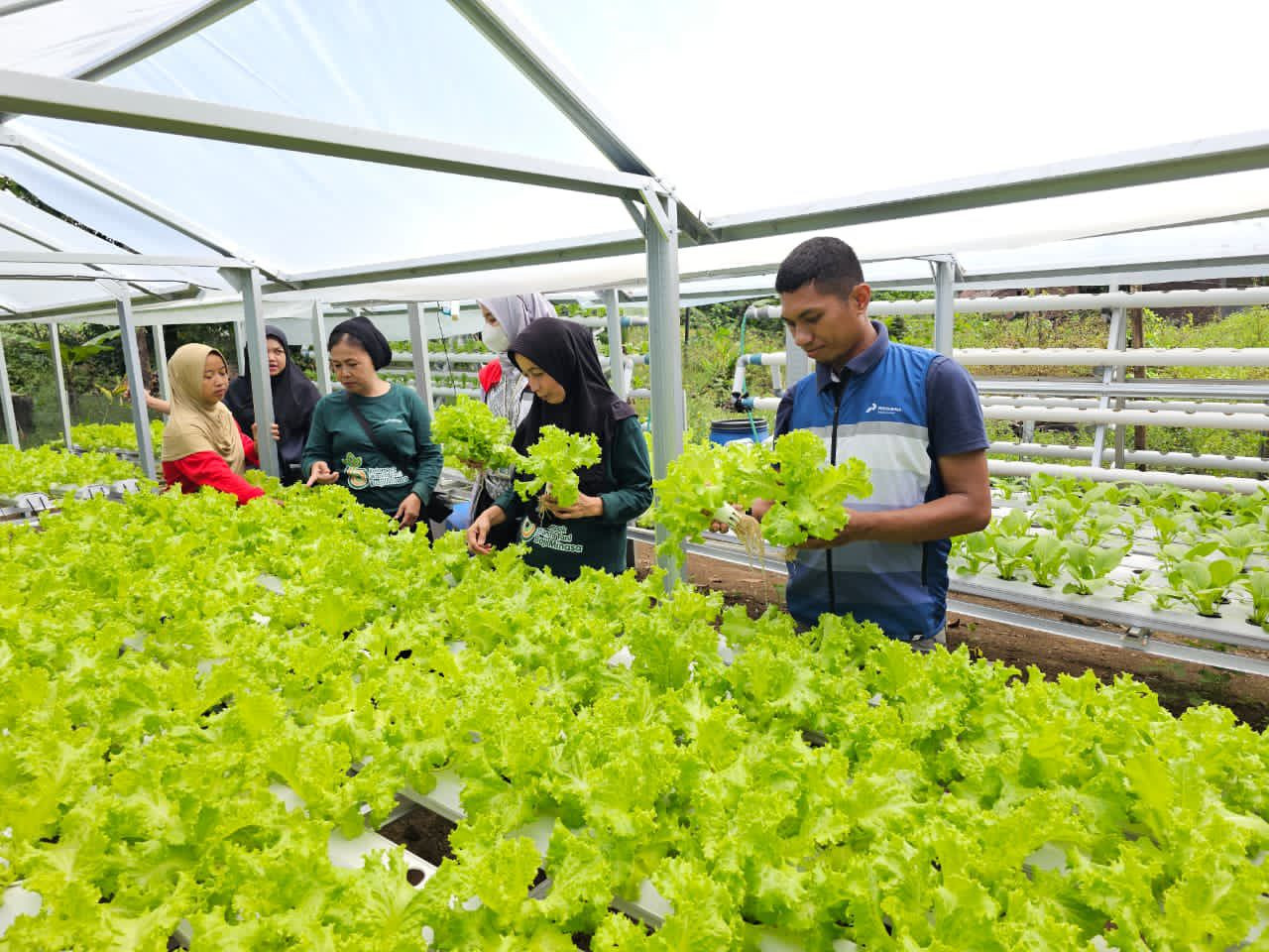 Program CSR Pertamina Patra Niaga Sulawesi Sukses Wujudkan Kemandirian Pangan di Maros