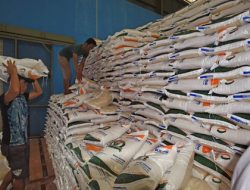 Transformasi Bansos: Dari Bantuan Tunai ke Investasi SDM untuk Tingkatkan Produktivitas