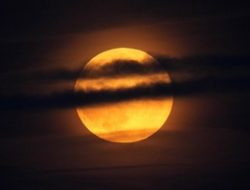 Supermoon 5 November 2025: Jadwal & Cara Lihat di Indonesia