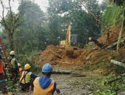 Bencana Trenggalek: 4 Tewas Akibat Longsor & Banjir, Pemkab Tetapkan Siaga