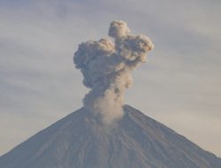Banjir Lahar Dingin Semeru: Kronologi, Data Erupsi, dan Peringatan Terkini