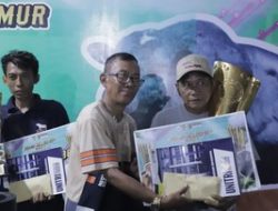 Sapi Sapu Jagat Juara Bupati Jember Cup 2025, Cetak Rekor Sapi Terberat Ketiga di Dunia