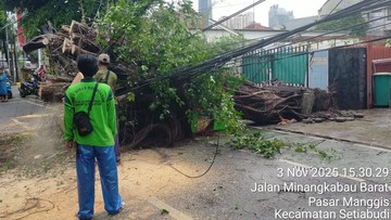 Pohon Tumbang di Minangkabau Ganggu Transjakarta: Rute Kini Normal