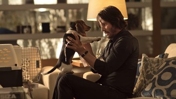 Keanu Reeves Hanya Pernah Nonton 2 Filmnya: Point Break & The Matrix